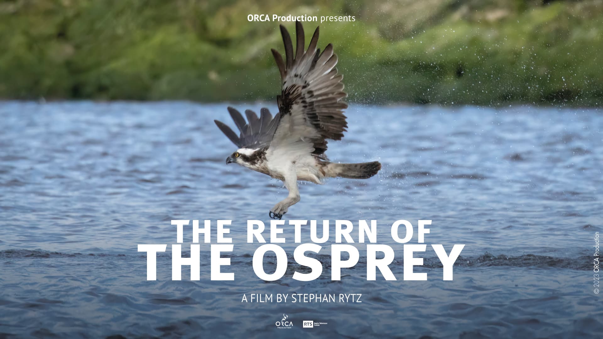 OSPREY_web_banner_1_EN.jpg