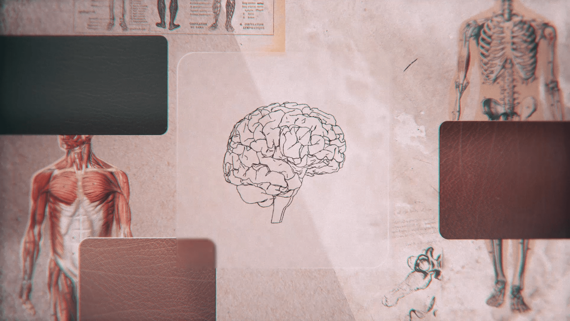 Capture dÔÇÖe╠ücran 2024-09-24 a╠Ç 12.07.37-min.png